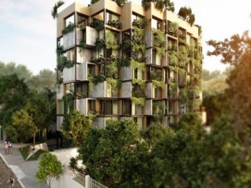 CO-HAUT 001